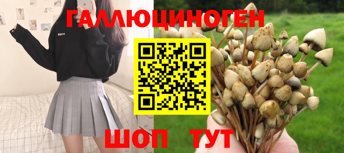 Галлюциногенные грибы ЛСД Елец